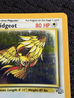 Pokemon TCG Pidgeot Holo Rare Jungle Set, Card 8/64, WOTC Vintage 1999 - Image 4