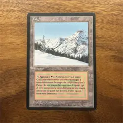 FBB MTG Magic: The Gathering Taiga Dual Land Italian 1994 IT ungraded LP - Image 1
