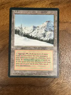 FBB MTG Magic: The Gathering Taiga Dual Land Italian 1994 IT ungraded LP - Image 3