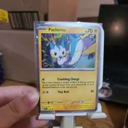 1 Swirl 🌀 Pachirisu SVP158 Surging Sparks Black Star Promo Pokemon Card - Image 4