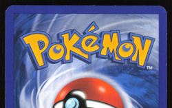 Turtwig - 103/130 - Common - Diamond & Pearl Base - Pokemon Card - 1 - Image 4