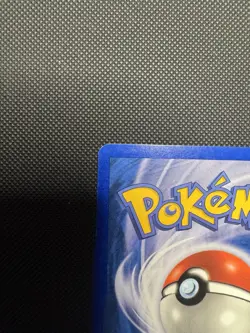 Pokemon TCG Sceptile E-Reader Holo Ruby and Sapphire 11/109 NM - Image 4