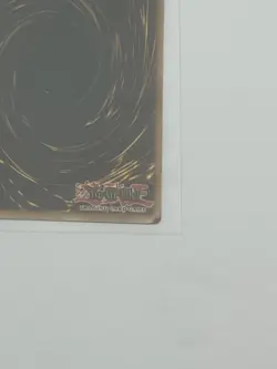 Yugioh Dark Paladin DMG-001 Limited Edition Secret Rare - Image 3