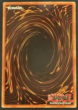 Yugioh Parrot Dragon Unlimited Edition Common TP2-028 NM - Image 2