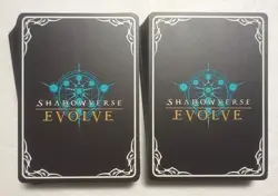 Lot of 100 Japanese Shadowverse EVOLVE Card set TCG - Image 2