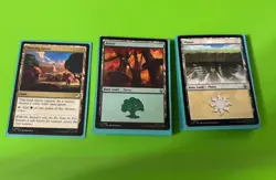 Pauper Commander/EDH Deck: Maja, Bretagard Protector w/ Deck Box, Sleeves, Etc! - Image 3