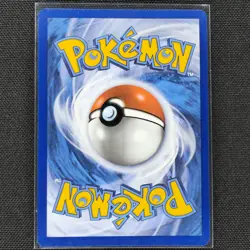 Bloodmoon Ursaluna ex - 216/167 - SIR - Twilight Masquerade - Pokemon - VLP - Image 2