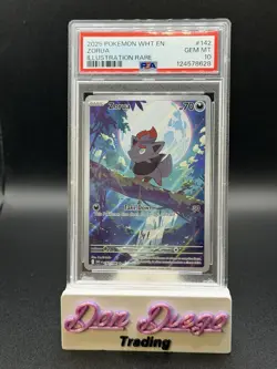 2025 Pokemon White Flare #142 Zorua Holo Illustration Rare PSA 10 - Image 1