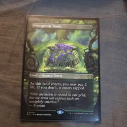 Overgrown Tomb (Borderless) Lorwyn Eclipsed MTG Near Mint - Image 1