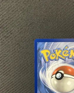 Pokemon TCG Tornadus SVP 210 SV: White Flare English ETB PROMO NM - Image 3