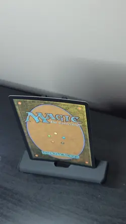 Tom Bombadil 0745 Foil MTG LTR LP Poster Card - Image 4