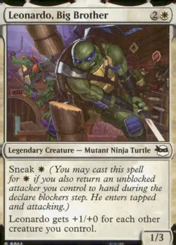 Teenage Mutant Ninja Turtles #14 Leonardo, Big Brother - Image 1