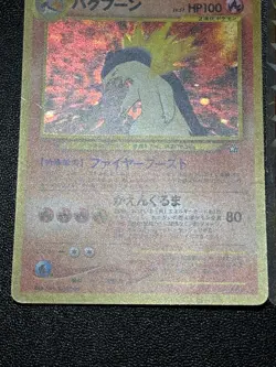 (LP) Typhlosion Neo Genesis Premium File etc. 3set Japanese Pokemon Card - Image 3