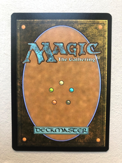 Mtg Carte Magic Secret Lair Dogs Better Spirited Companion FOIL Eng NM - Image 2