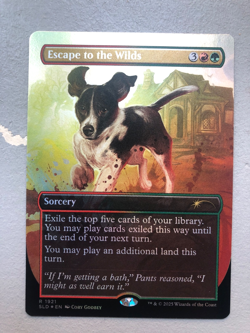 Mtg Carte Magic Secret Lair Dogs Better Escape to the Wilds FOIL Eng NM - Image 1