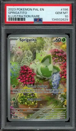 Sprigatito Pokemon 2023 SV Paldea Evolved Illustration Rare 196/193 PSA 10 - Image 1