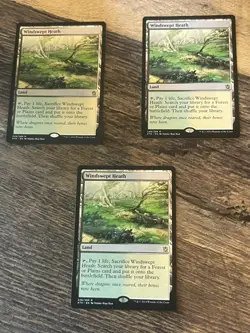 Windswept Heath #248 MP+ Khans of Tarkir KTK Magic MTG X3 - Image 1