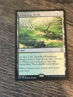 Windswept Heath #248 MP+ Khans of Tarkir KTK Magic MTG X3 - Image 2