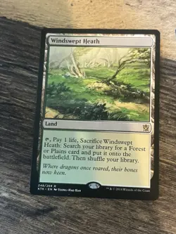 Windswept Heath #248 MP+ Khans of Tarkir KTK Magic MTG X3 - Image 4