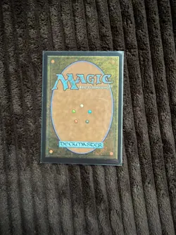 MTG Fierce Guardianship (Showcase) Normal NM Avatar: The Last Airbender: Eternal - Image 2