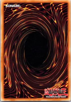 Yugioh: Mayosenju Hitot - RIRA-EN011 - Super Rare - 1st Edition - NM - Image 2