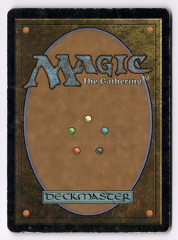 Dragonspeaker Shaman DMGD* Scourge ENGLISH 89/143 mtg -UnltdCards - Image 2