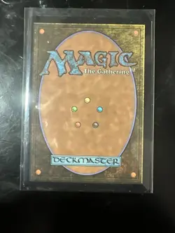 Mycosynth Lattice The List Reprints Regular - Image 2