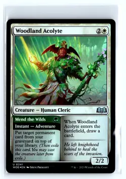 FOIL Woodland Acolyte Wilds of Eldraine – MTG Magic the Gathering Card - Image 1