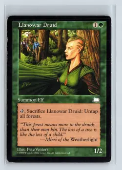 (2x) LLANOWAR DRUID – MTG Magic the Gathering Card – Weatherlight – Common - Image 1