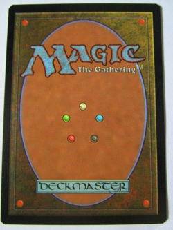 MTG Flickering Ward Tempest Light Play!! - Image 2