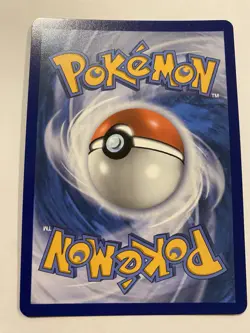 Mint Phantasmal Flames Mega Charizard X ex 023 Holo UPC Promo Cards Set of 2! - Image 5