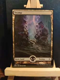 Full Art Swamp - 1 of Each Art - Battle for Zendikar 260 261 262 263 264 - NM - Image 4