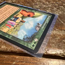 MTG Seeds of Innocence LP Light Play Mirage - Image 4