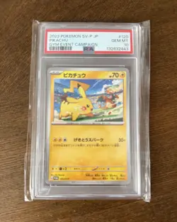 Pikachu Gym Event Campaign 2023 Pokemon SV-P JP #120 Gem MT PSA 10 Jap 132632443 - Image 3