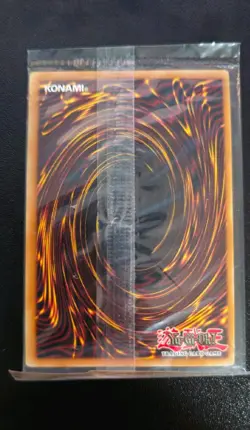 Dark Paladin Limited Edition Foil DMG-001 YU-Gi-Oh! Sealed Promo - Image 2