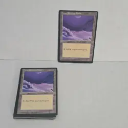 Magic: The Gathering Snow-Covered Plains 23x - Image 1