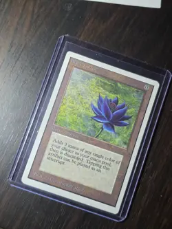 Magic The Gathering Unlimited Black Lotus Authentic Mtg - Image 1