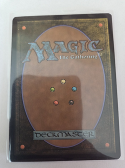 MTG, Ancient Tomb Zendikar Rising Expeditions Regular NM - Image 2