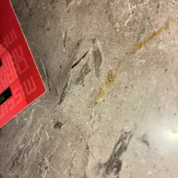 1995 Marvel Overpower Collectible Card Game Mission: Maximum Carnage #7 12ge - Image 5