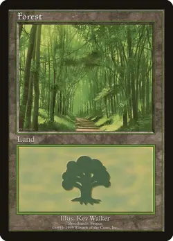 MTG Magic the Gathering Forest (6/15) European Land Program LP - Image 1