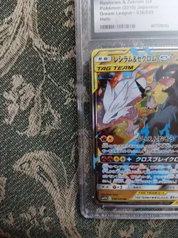 Pokemon Reshiram & Zekrom GX #036/049 Japanese Dream League CGC 10 Gem Mint 2a - Image 3