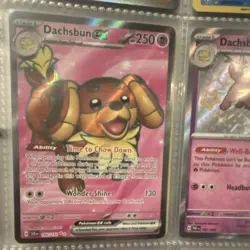Pokemon Dachsbun ex 160/142 SV07: Stellar Crown Ultra Rare Holo 250HP 130 - Image 1
