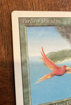 MTG Birds of Paradise Revised Edition - Signed by Artist Mark Poole - Image 2