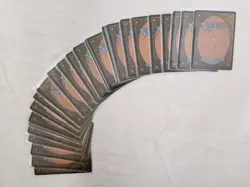 NM Homelands - Complete Set 140/140 Mtg Magic the Gathering - Image 4