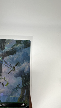 Forest (0371) (Borderless) (Galaxy Foil) Edge of Eternities Foil, NM, Fast Ship - Image 3
