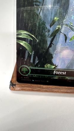 Forest (0371) (Borderless) (Galaxy Foil) Edge of Eternities Foil, NM, Fast Ship - Image 4
