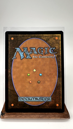 Forest (0371) (Borderless) (Galaxy Foil) Edge of Eternities Foil, NM, Fast Ship - Image 5