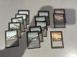 Magic: The Gathering - Foreign Basic Land Lot - 13 Swamp - Image 1