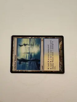 Adarkar Wastes (10th Edition/Tenth Edition) - Lightly Played (LP) - Magic - MTG - Image 2