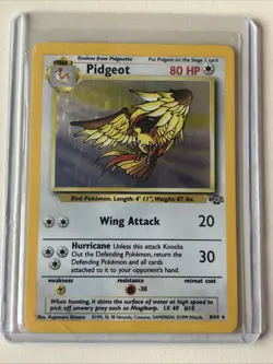 Pokemon Vintage Holo Rare Pidgeot 8/64 Jungle WotC 1999 - Image 1